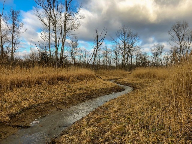 Water flowing through the restored Stanford Run stream channel at the U.S. Army Corps of Engineers Buffalo District's Stanford Run ecosystem restoration project at the Cuyahoga Valley National Park in Summit County, Ohio, Jan. 6, 2020. 
...