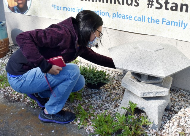 Camp Zama Easter Rock Hunt a social distancing hit