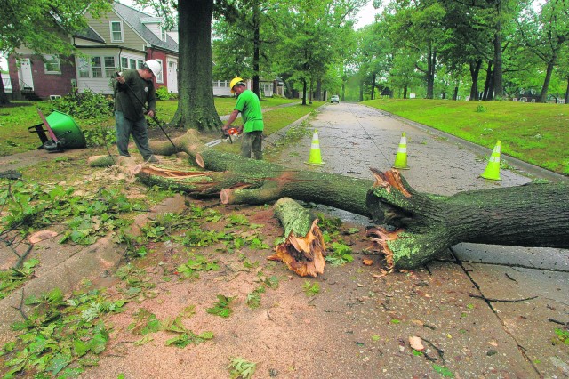Workers clear a tree off the street after Hurricane Irene knocked over trees on Fort Belvoir in September 2011. 