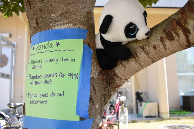 Camp Zama housing community creates neighborhood zoo