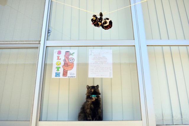 Camp Zama housing community creates neighborhood zoo