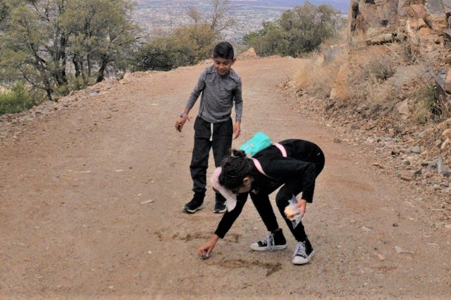Playing on the Trail