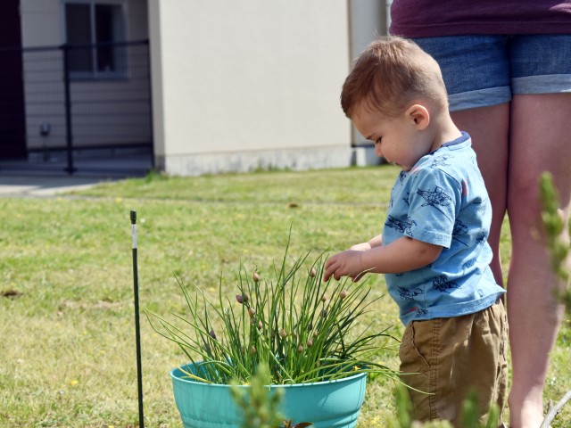 Camp Zama FMWR launches ‘Zama Garden Television’