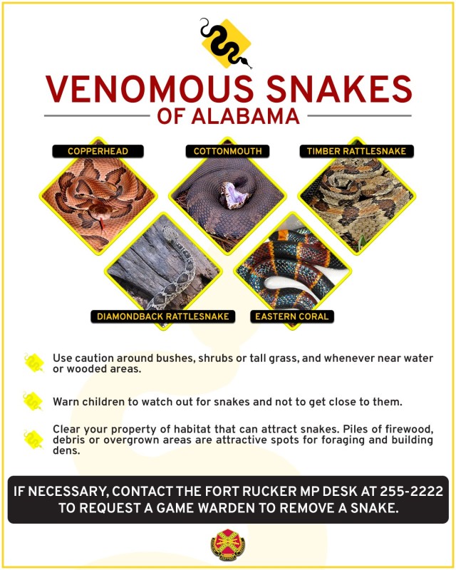 Snake safety