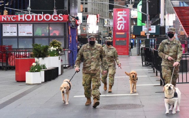 Dogs ease stress for COVID-19 response troops in New York