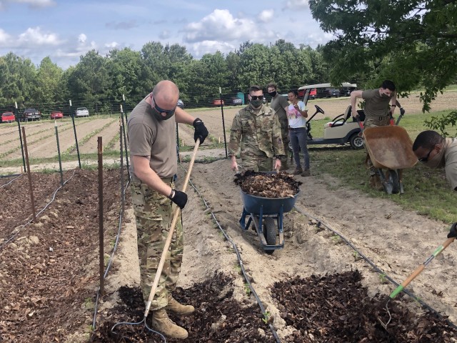North Carolina Guard pitches in on the farm to help needy