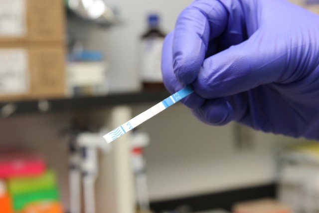 A lateral flow immunoassay test strip shows a negative result for fentanyl.