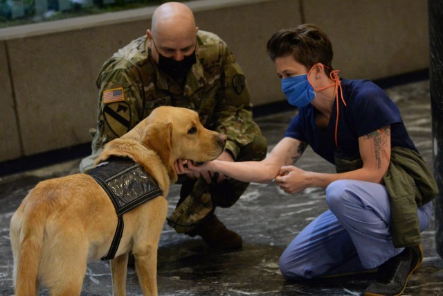 Sgt. 1st Class Richard Masci of Lagrangeville, N.Y. assigned to the New York Army National Guard and a medical professional pet P.K., a Labrador retriever service dog, provided by Puppies Behind Bars in New York City, April 23, 2020. Puppies...
