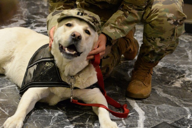 Capt. Yvette Valle from Dunkirk, N.Y., assigned to the New York Army National Guard plays with Dakota, a Labrador retriever service dog provided by Puppies Behind Bars in New York City, April 21, 2020. Puppies Behind Bars is a nonprofit...