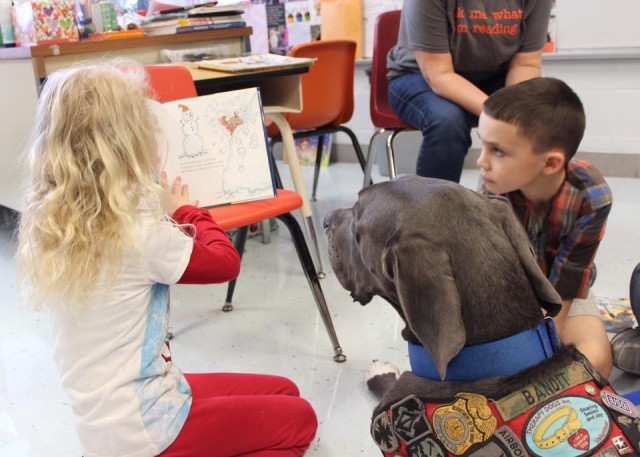 Fort Leonard Wood USO therapy dog up for 2020 Hero Dog Award