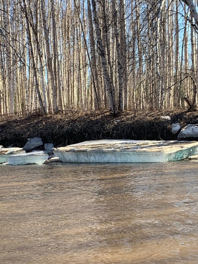 A large piece of ice grounded on the banks of the Chena River on May 3, days after the U.S. Army Corps of Engineers – Alaska District ended its operation of the Moose Creek Dam to reduce flooding from ice jams along the Chena River. The agency operates the dam as part of the Chena River Lakes Flood Control Project to protect communities in the Fairbanks North Star Borough from seasonal floods.