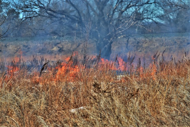 A prescribed burn is shown March 4, 2020, along the railroad tracks on South Post at Fort McCoy, Wis. A burn like this is managed by the installation prescribed burn team. The post prescribed burn team includes personnel with the Fort McCoy...