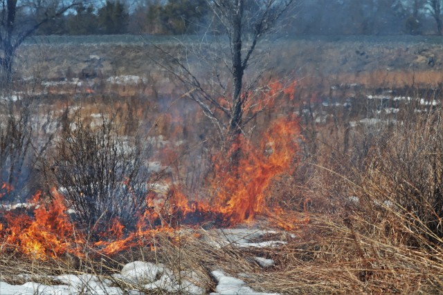 A prescribed burn is shown March 4, 2020, along the railroad tracks on South Post at Fort McCoy, Wis. A burn like this is managed by the installation prescribed burn team. The post prescribed burn team includes personnel with the Fort McCoy...