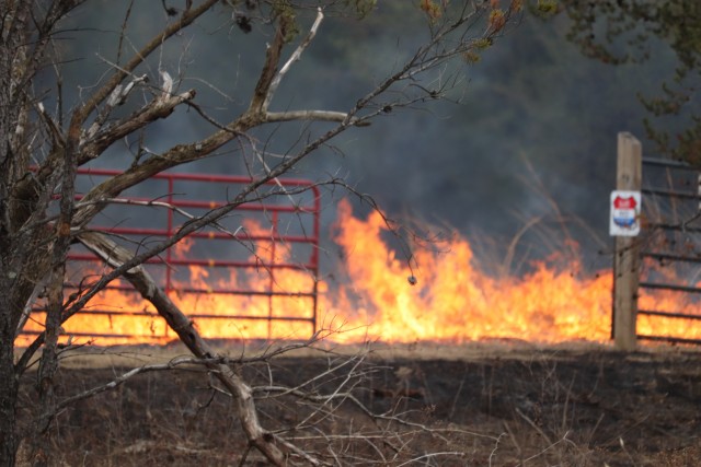 A prescribed burn is shown March 16, 2020, along the railroad tracks on South Post at Fort McCoy, Wis. A burn like this is managed by the installation prescribed burn team. The post prescribed burn team includes personnel with the Fort McCoy...
