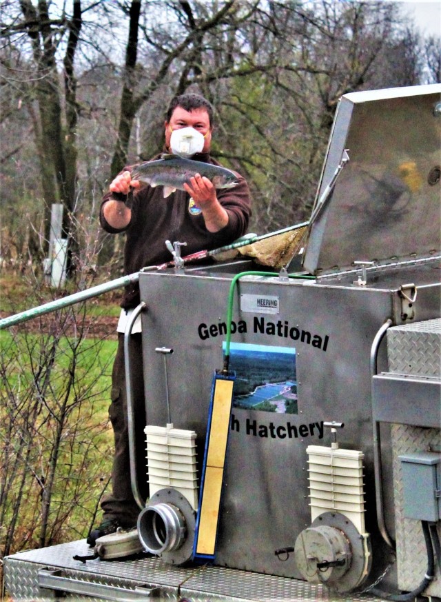 U.S. Fish and Wildlife Service (USFWS) employee Nick Bloomfield shows a large rainbow trout he is stocking April 29, 2020, in Stillwell Lake on South Post at Fort McCoy, Wis. Approximately 15,000 rainbow trout were stocked at several lakes and ponds April 27-29, 2020, at Fort McCoy by the USFWS Genoa National Fish Hatchery of Genoa, Wis. (U.S. Army Photo by Scott T. Sturkol, Public Affairs Office, Fort McCoy, Wis.)