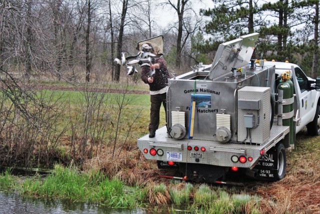 U.S. Fish and Wildlife Service (USFWS) employee Nick Bloomfield stocks rainbow trout April 29, 2020, in Stillwell Lake on South Post at Fort McCoy, Wis. Approximately 15,000 rainbow trout were stocked at several lakes and ponds April 27-29, 2020, at Fort McCoy by the USFWS Genoa National Fish Hatchery of Genoa, Wis. (U.S. Army Photo by Scott T. Sturkol, Public Affairs Office, Fort McCoy, Wis.)