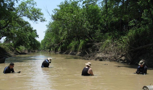 Dive team biologists conduct a shallow water mussel survey in eastern Arkansas. Qualitative surveys such as this one provide initial information used to make effects determinations for endangered freshwater mussel species. The turbidity of the water is typical of deltaic streams in the Memphis District.