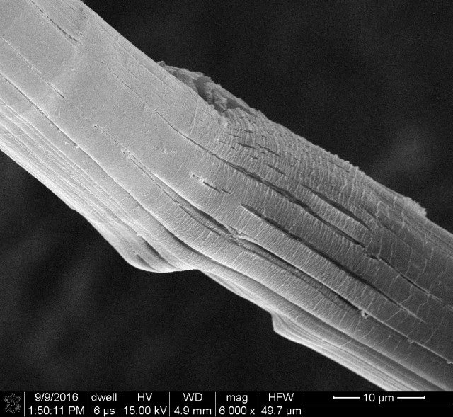 Army researchers analyze high-performance fibers with a scanning electron microscope. 