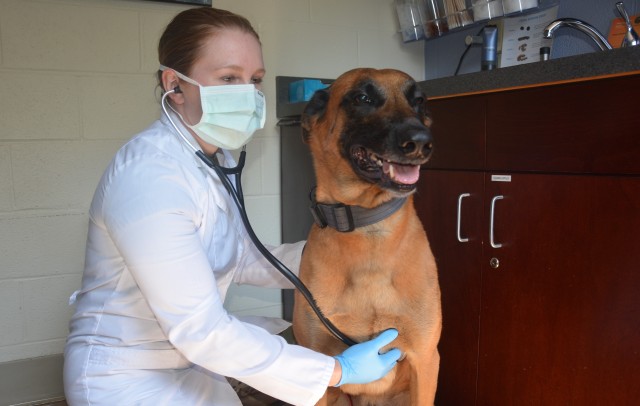 VetClinic1