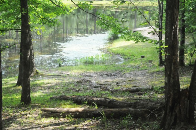 A view of one of the ponds found at the Marion Bonner Recreation Area.