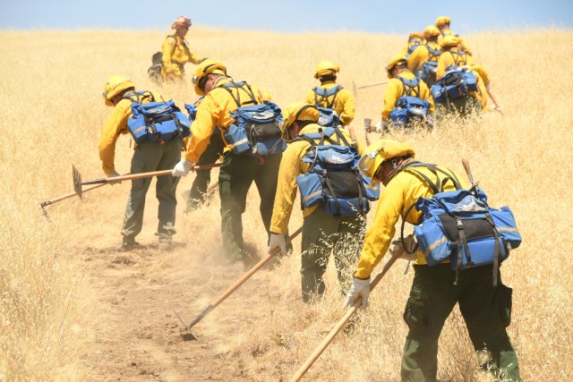 California Guardsmen practice cutting fire lines during hand crew training at Camp Roberts on May 14, 2020.  
