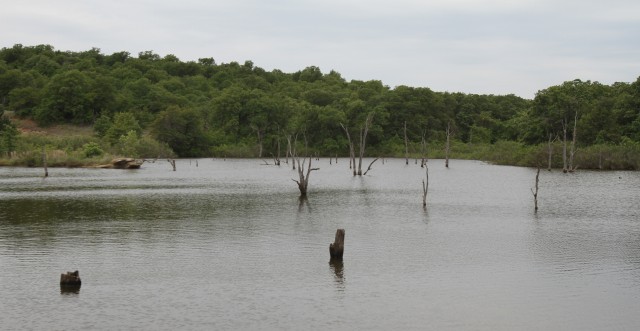With Medicine Creek Bluffs looming nearby, Rumba Pond is the new home for about half of the catfish, sunfish, and bass Fort Sill Natural Resources personnel stunned and secured at O’Connell Pond May 11, 2020. The fish were transplanted because...