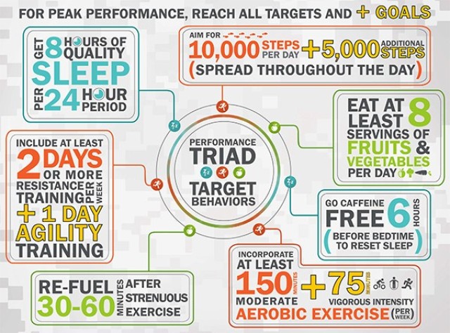 Performance Triad Targets