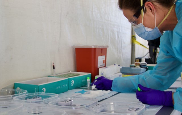 A nurse at the Miami Beach Convention Center Community Based Testing Site conducts a COVID-19 antibody test. The Florida Guard is providing support at the Miami Beach hybrid CBTS and Hard Rock Stadium CBTS to allow the state and local partners to conduct antibody testing for first responders at both facilities. (US Army photo by Sgt. Leia Tascarini)