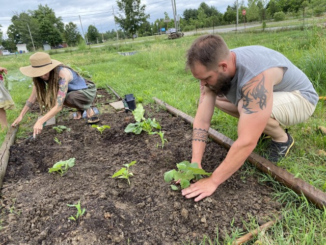 Planting