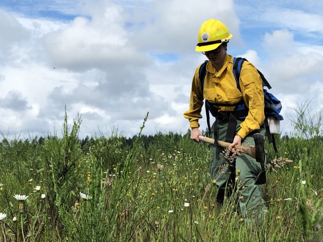 Washington Guard trains for wildfire season amid COVID-19