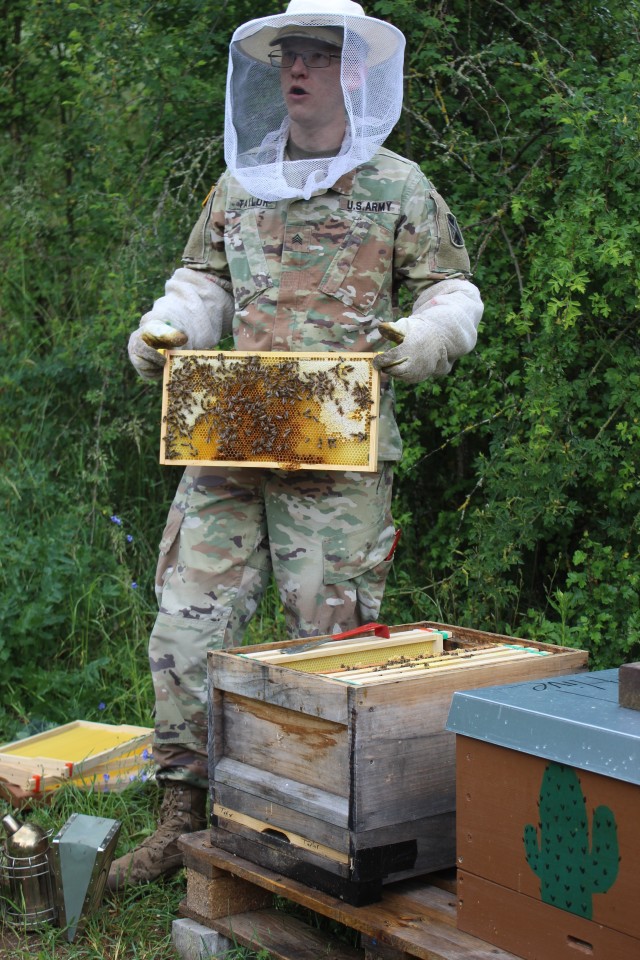 Urlas beekeeper