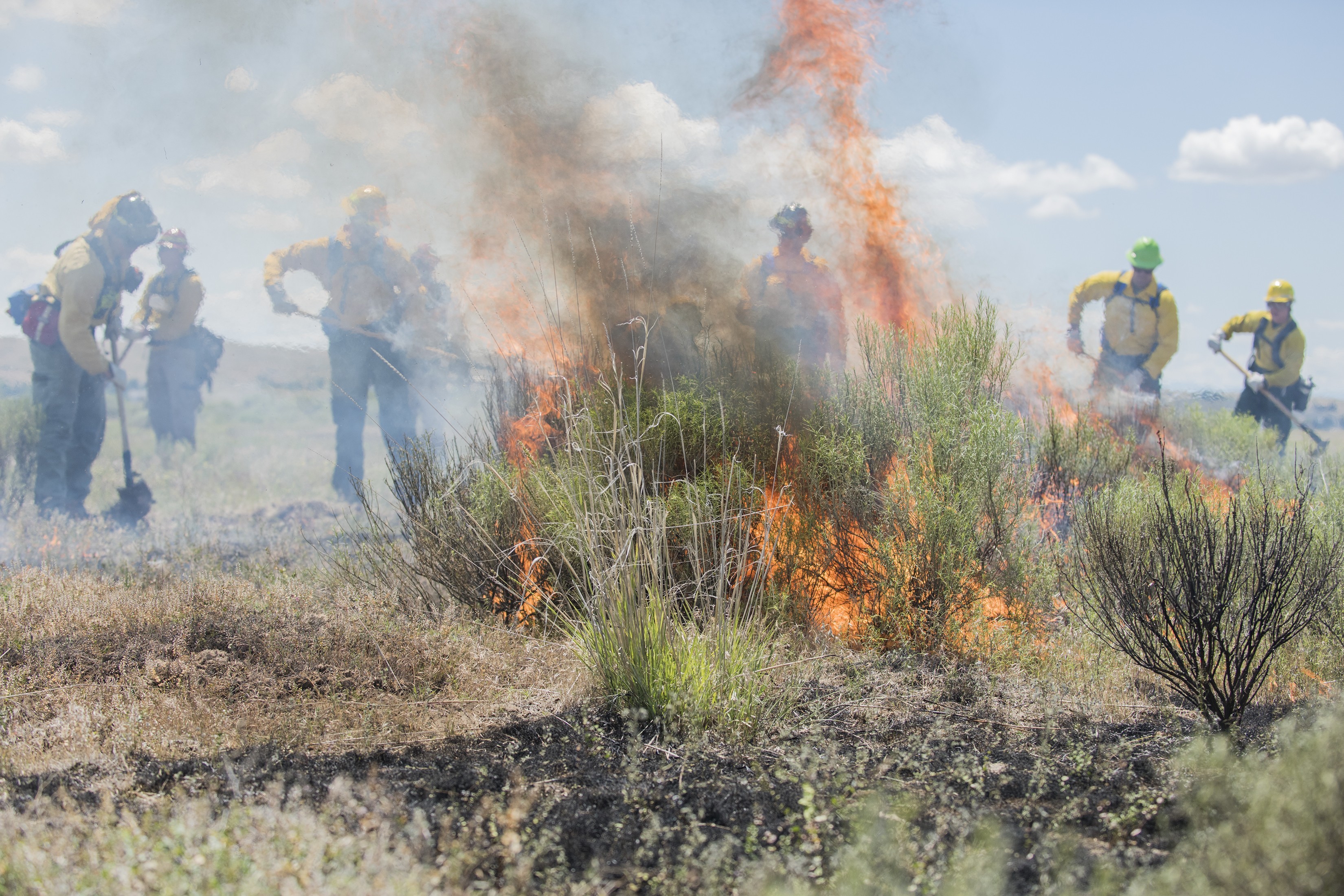 First annual National Wildland Firefighter Day - Wildfire Today