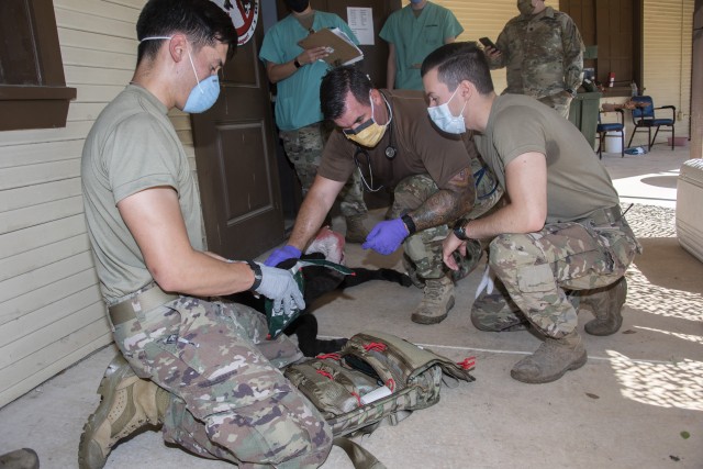 Members of the 555th Forward Surgical Team assess a simulated canine patient during training with Brooke Army Medical Center’s Strategic Trauma Readiness Center of San Antonio (STaRC) at Camp Bullis Military Training Reservation, Texas, May 26,...