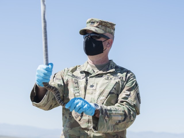 Key military leaders assist with tagging and the study of rattlesnakes