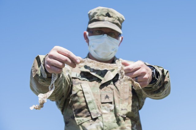 Key military leaders assist with tagging and the study of rattlesnakes