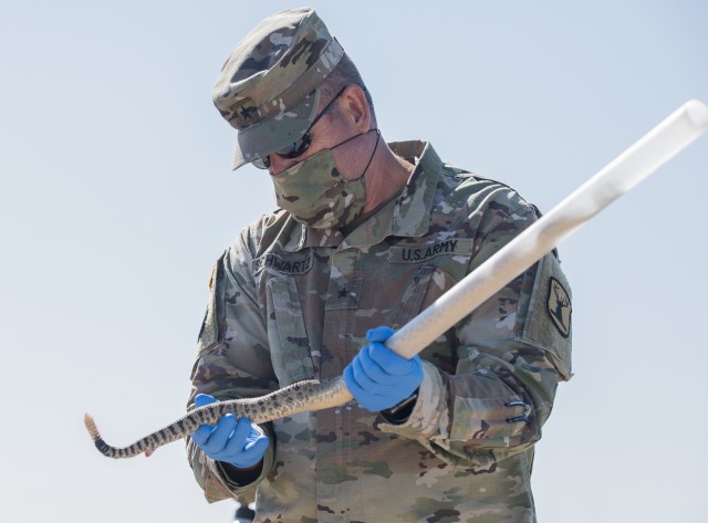 Key military leaders assist with tagging and the study of rattlesnakes