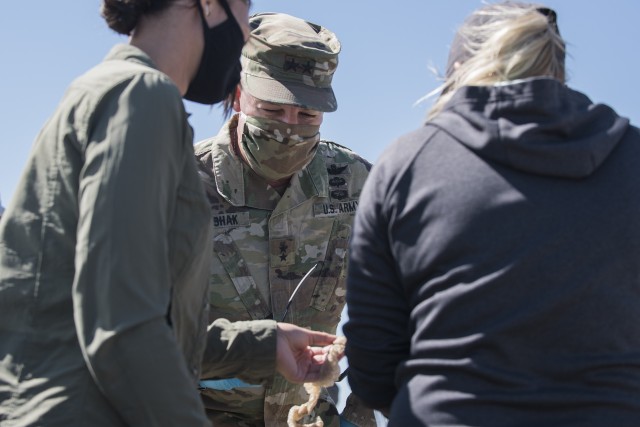 Key military leaders assist with tagging and the study of rattlesnakes
