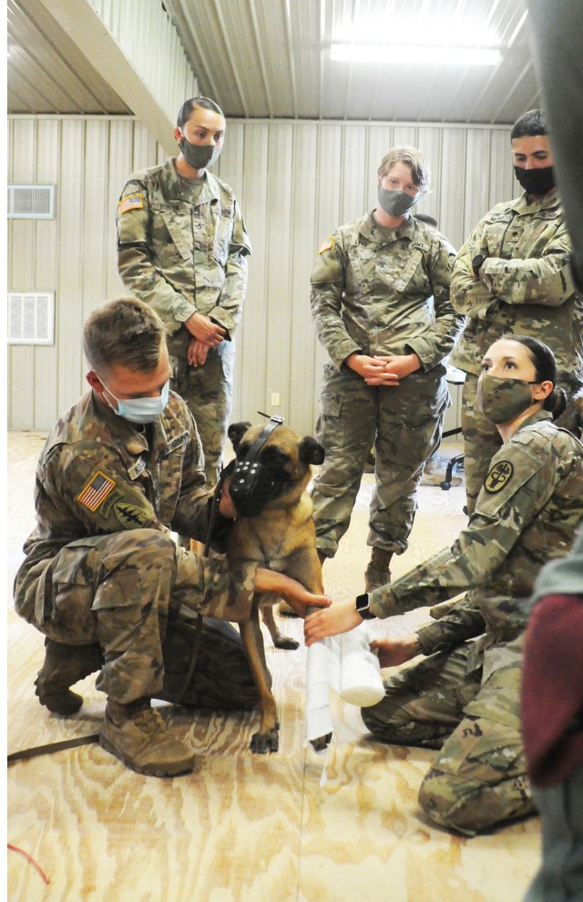 Spc. Scott Kokjohn, 50th Military Police Detachment, 519th Military Police Battalion handler, holds his MWD, Astra, as Spc. Ashleigh Lyons, an animal care specialist, demonstrates how to splint a broken limb.