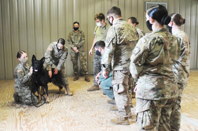 Sgt. Kristin Vanderzanden (left), a squad leader with the 50th Military Police Detachment, 519th Military Police Battalion, kneels next to her military working dog, Frenky, as Capt. Gina Cipolla, Fort Polk Veterinary Treatment Facility officer in...