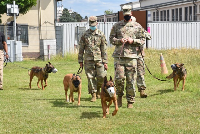 WIESBADEN, Germany -- The four military working dogs of the Wiesbaden kennel take part in a socialization exercise, the so-called pack walk, during a MWD Conflict Management Training July 7, 2020, at Mainz Kastel Station.