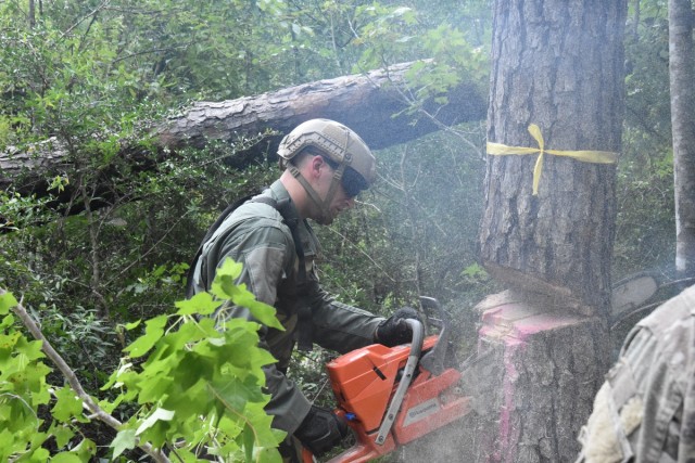 A Soldier makes a tongue and groove cut on a pine tree during abatis training July 15 at Peason Ridge. An abatis is a field fortification used to slow the advance of an enemy, typically by felling trees in a criss/cross pattern across avenues of...