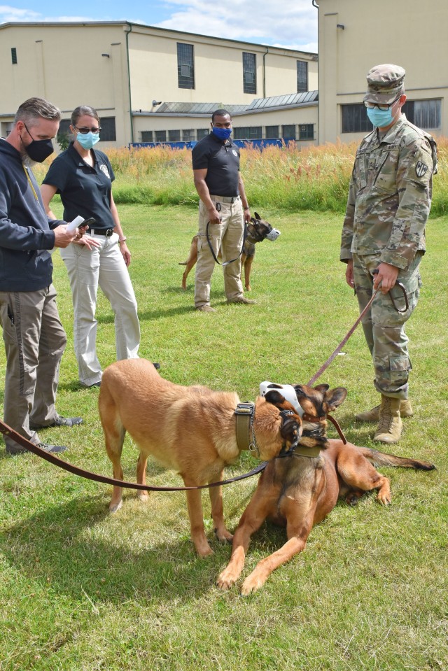 WIESBADEN, Germany -- The instructors of the military working dog Conflict Management Training, Duane Stinson (left) and Maj. Desiree Broach (second to left) together with two dog handlers look at the military working dogs, who peacefully sniff at...