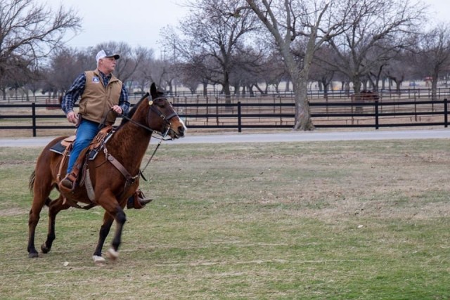 Gerald Stuck, Artillery Half Section chief, puts Dubia through his paces on Fort Sill. The 22-year-old horse overcame a serious injury in 2012 and continues to lead the half section.