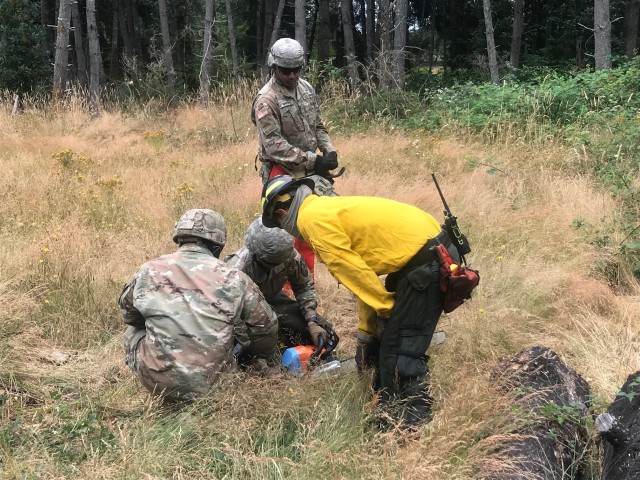 Nick Miller, Wildland Fire Program manager, guides Soldiers from A Co 14 BEB RUGGED, 2-2 SBCT as they examine a chainsaw during training on 22 July 2020.