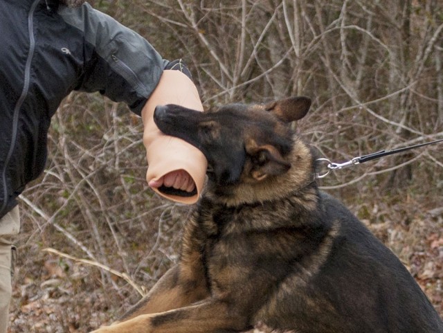 The new bite sleeve provides military working dogs with an authentic human skin texture when biting the forearm region, providing a more realistic training scenario for the canines.