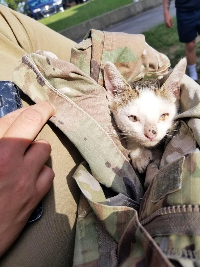 The kitten was found and assessed by Fort Polk Veterinary Facility staff as having severe dehydration, an eye infection, dirty and hungry. He was wisked away to the clinic to get a bath and begin treatment immediatly July 15.