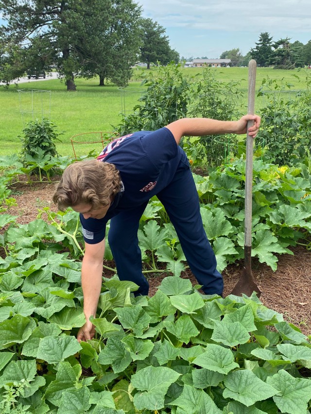 Kirby Davis, Fort Campbell Fire and Emergency Services civilian firefighter, checks the growth of cucumbers July 23, 2020, in the garden outside of Frie Station 1. (Dionte Berry, U.S. Army, released)