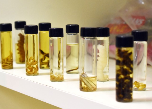 Specimens of insects and other creatures stand on display in the entomology offices of the Public Health Command-Pacific headquarters at Camp Zama, Japan, July 10, 2020.