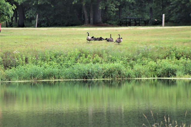 A scene of Suukjak Sep Lake at Pine View Campground in the Pine View Recreation Area is shown July 9, 2020, at Fort McCoy, Wis. The recreation area includes acres of publicly accessible land with hiking trails, Pine View Campground, Whitetail...