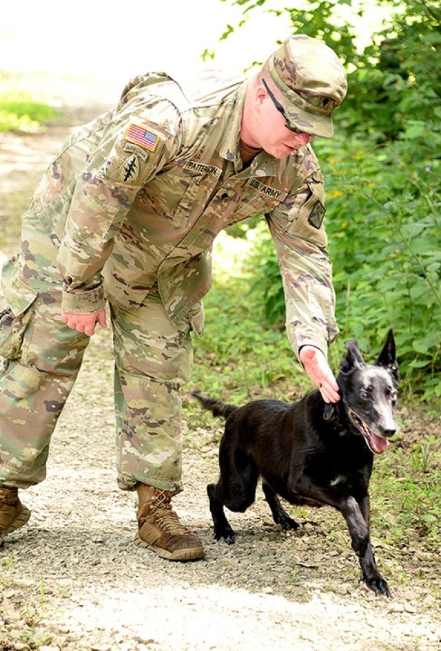 Spc. Levi Patterson, 67th Military Police Detachment (Military Working Dog), Special Troops Battalion, sends MWD Zera, a patrol explosive detector dog-enhanced, out to search for a bumper toy while practicing her searching skills Aug. 4 at Hunt Lodge. Patterson and Zera and two other teams from the detachment successfully completed annual certification last week. Photo by Prudence Siebert/Fort Leavenworth Lamp